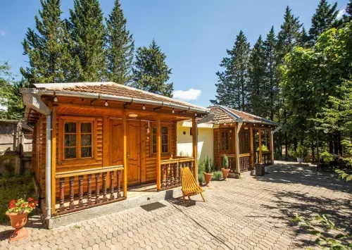 Eco Cottage - Homestays