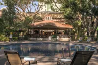Wyndham Garden Guadalajara Expo - Pool
