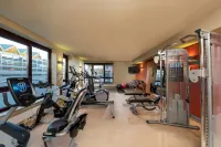 Hilton Mainz - Phòng Gym