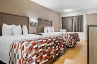 Red Roof Inn Tampa Fairgrounds - Casino - 2 Yıldız