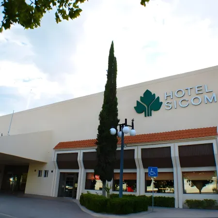 Hotel Sicomoro
