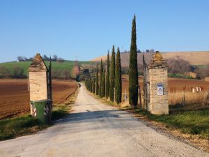 Ancient Farmhouse with Winery XIV Century