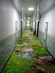 Hengyang City Hengnan County Quan Hui Hotel - Wi-Fi