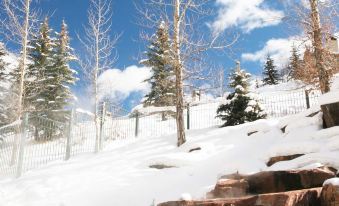 Park Hyatt Beaver Creek Resort and Spa