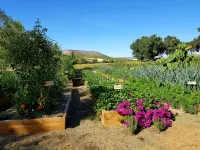 Abadia Retuerta LeDomaine Hotels in San Bernardo