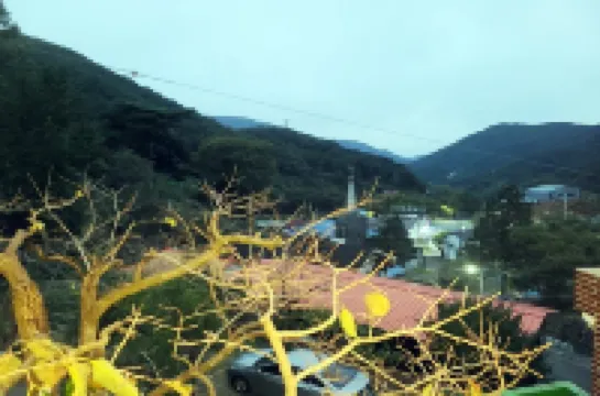Sancheong Jirisan Big Tree Pension