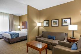 Comfort Inn & Suites Lynchburg Airport - University Area