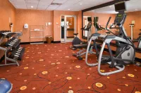 Holiday Inn Express & Suites ROYSE CITY - ROCKWALL by IHG - Træningscentre