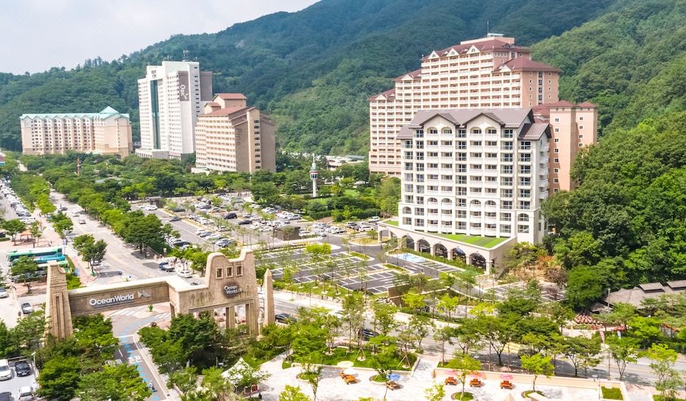 비발디파크 대표 이미지