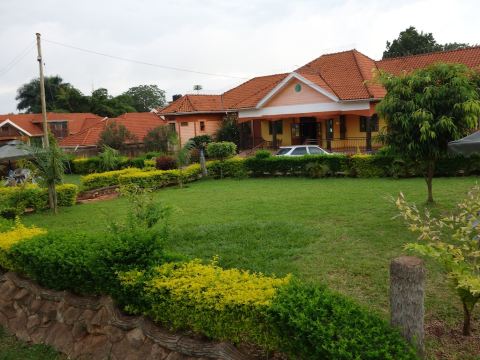 Impala Suites
