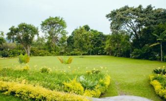 Gorillas Lake Kivu Hotel