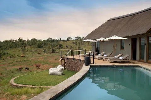 Mhondoro Safari Lodge & Villa