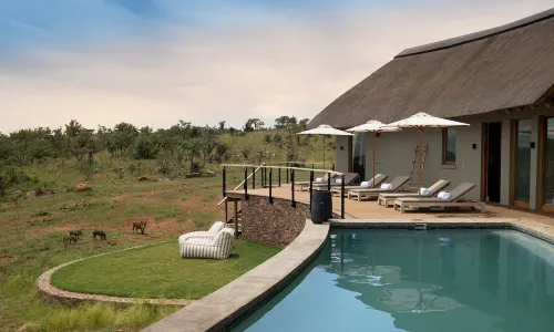 Mhondoro Safari Lodge & Villa