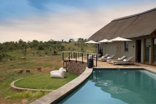 Mhondoro Safari Lodge & Villa Hotels in Lephalale Local Municipality