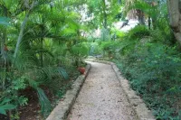 Casa Quetzal Hotel Hotels in 