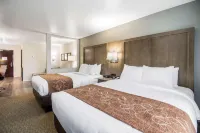 Comfort Suites Columbia I-65 - Wifi