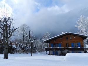 Chalet Les Frênes