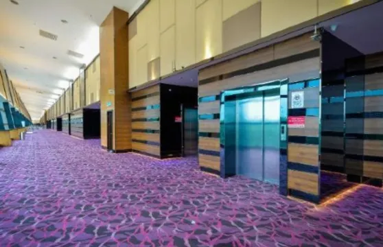 莎阿南天馬大酒店