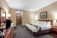 Quality Inn & Suites Wellington - Fort Collins