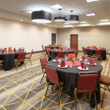 Holiday Inn & Suites DURANGO DOWNTOWN by IHG