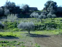 Agriturismo Passo dei Briganti Hotel in zona Centro Commerciale Città dei Templi