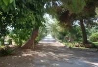 Terrauzza Sul Mare di Renata Emmolo Hoteles en Fanusa