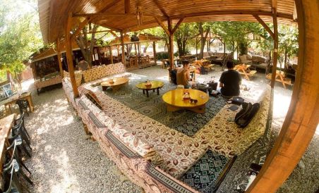 Saban Pansion Treehouses - Housity