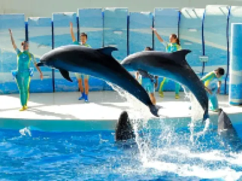 Sotetsu Fresa Inn Kamakura-Ofuna Higashiguchi Hotels in Kamakura