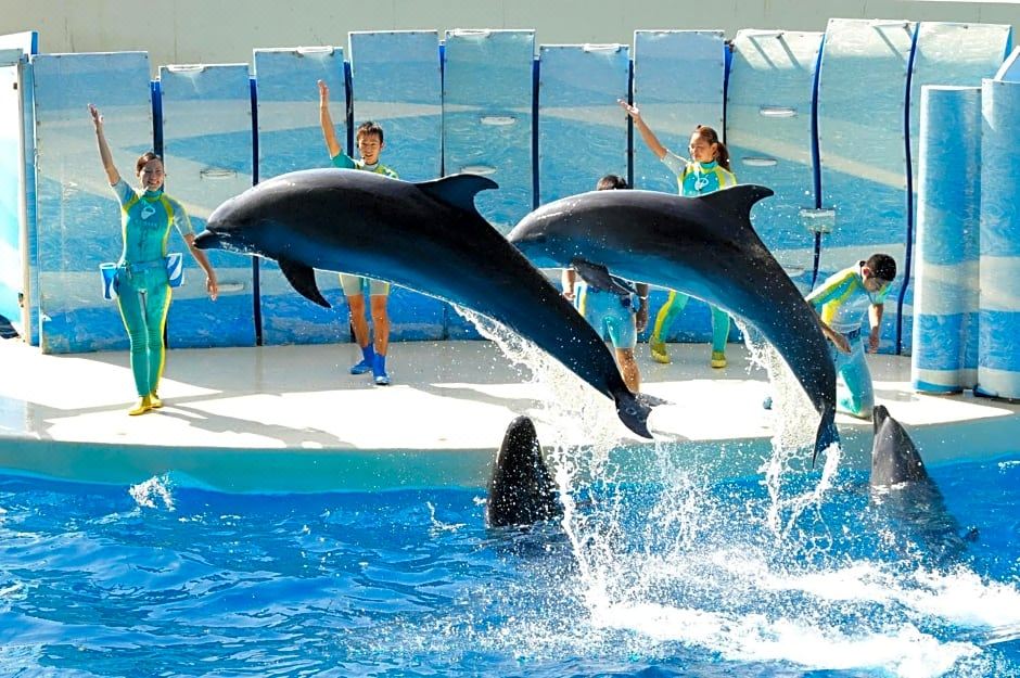 3. 소테츠 프레사 ..