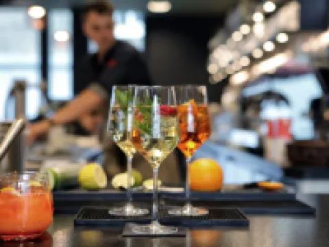 Sander Hotel Koblenz Hotels in Koblenz