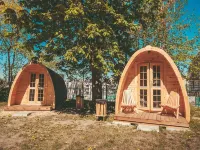 Downtown Forest Hostel & Camping