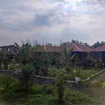 Tadoba Safari Stay Nature's Sprout Hotel Exterior