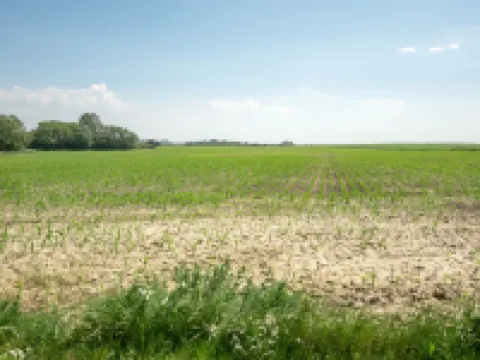 "Ilja" - 400m from the Sea