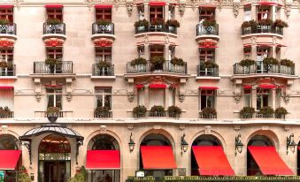 Hotel Plaza Athenee - Dorchester Collection