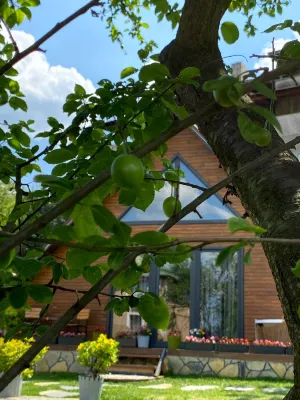 Maşukiye Pink House Bungalow