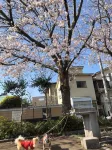 Numazu Rider House Shinchan