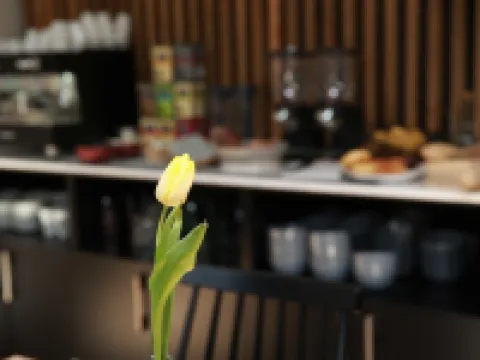 Hotel Cims de Camprodon Hoteles en Camprodón