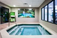 Wingate by Wyndham - Orlando International Airport - Hot Tub