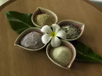 Pullman Khon Kaen Raja Orchid Hotels in Khon Kaen