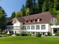 Waldhotel Bad Sulzburg Hotels in Sulzburg