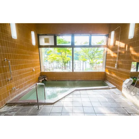 Forest Resort Sarugakyo Seikoso