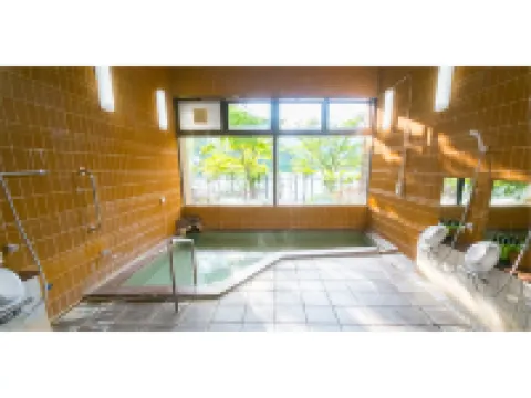 Forest Resort Sarugakyo Seikoso