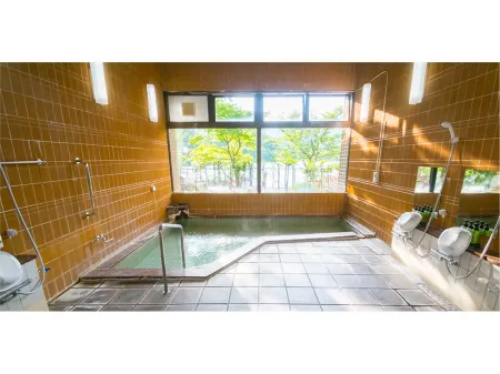 Forest Resort Sarugakyo Seikoso Отели рядом с достопримечательностью «Take no Yu»