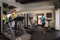 Hodelpa Nicolás de Ovando - Gym