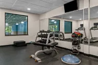 Holiday Inn Express & Suites DETROIT-NOVI by IHG - Træningscentre