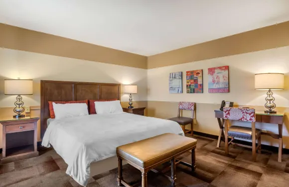 卡爾頓奧克斯旅館-阿桑德連鎖酒店