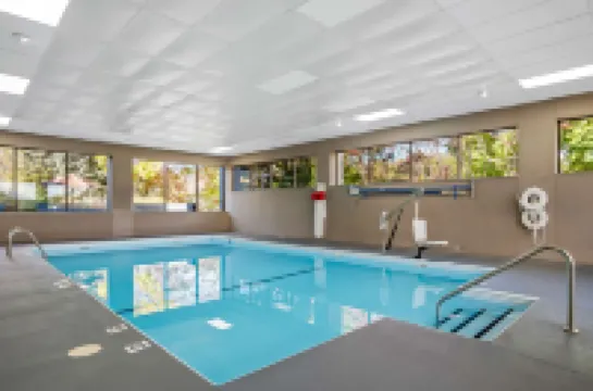 Spark by Hilton Stevensville