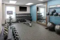 Hampton Inn Detroit/Northville (Farmington Hills Area) - Fitnessstudio