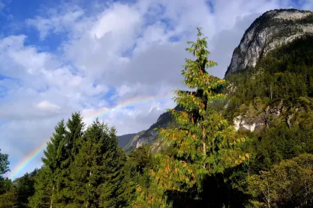 Vacation apartment Landhaus Maria-Anna Отели в г. Шнайцльройт