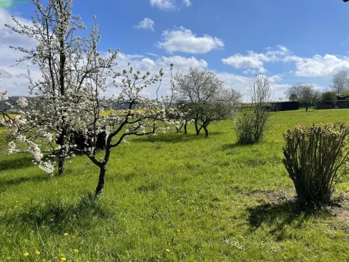 Gemütliche Fewo, Ruhige Lage Direkt Über dem Rheintal Gegenüber der Loreley Hotels in Sankt Goar